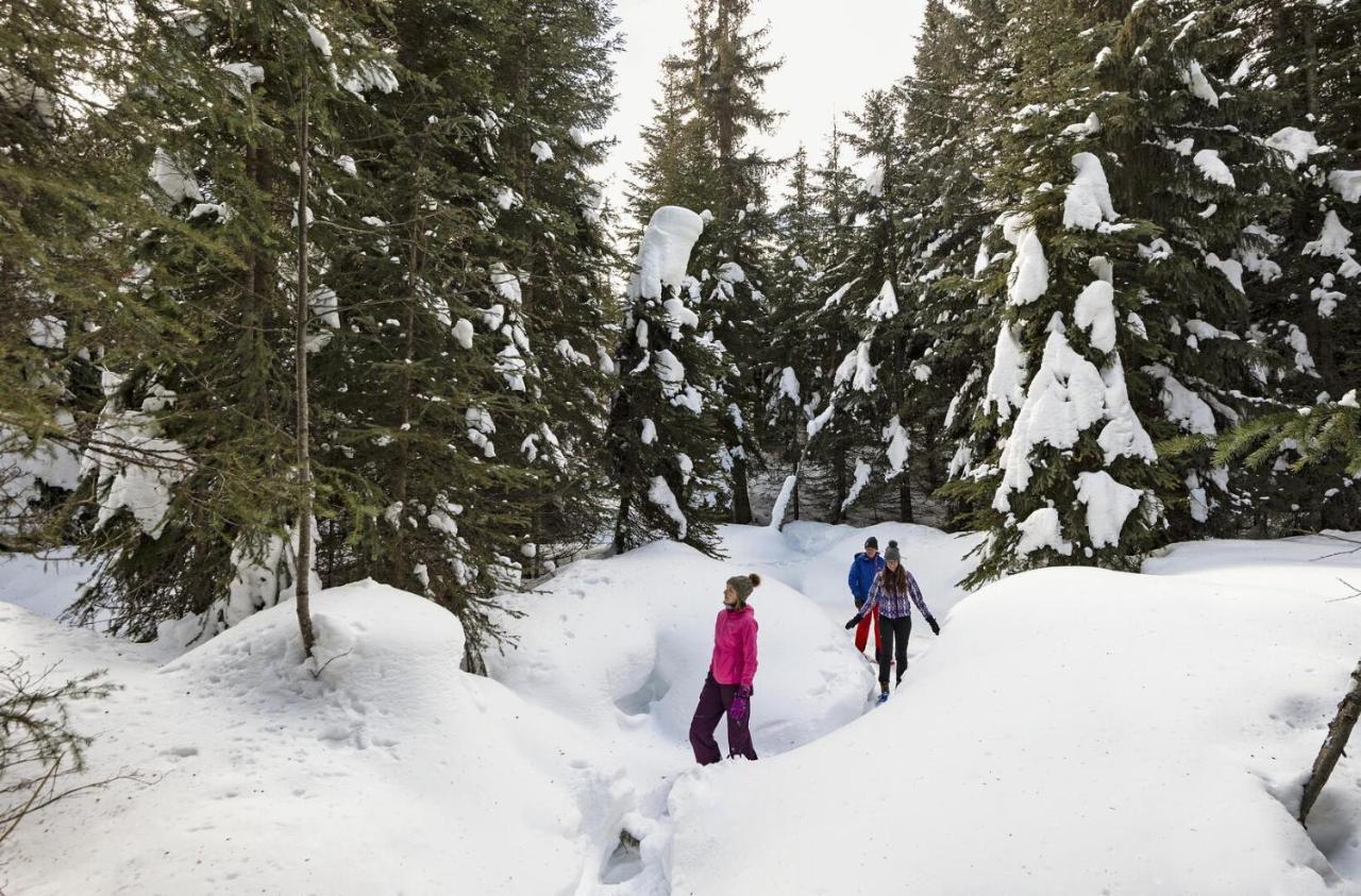 Soleil Chalet By Bear Country Sun Peaks Eksteriør bilde