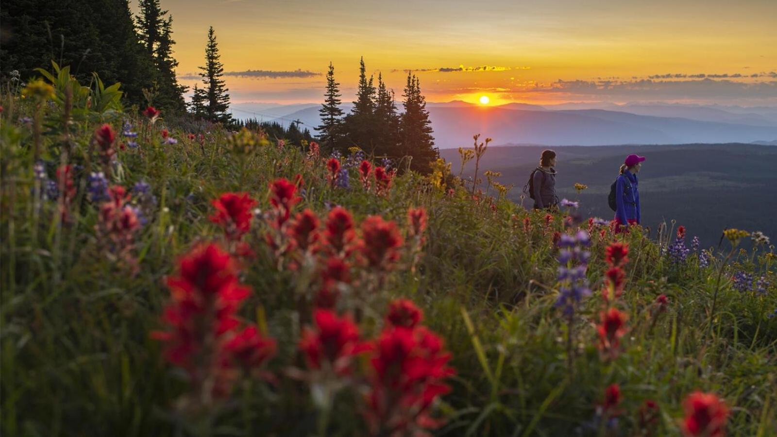 Soleil Chalet By Bear Country Sun Peaks Rom bilde