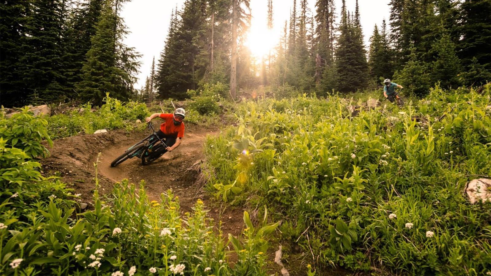 Soleil Chalet By Bear Country Sun Peaks Rom bilde