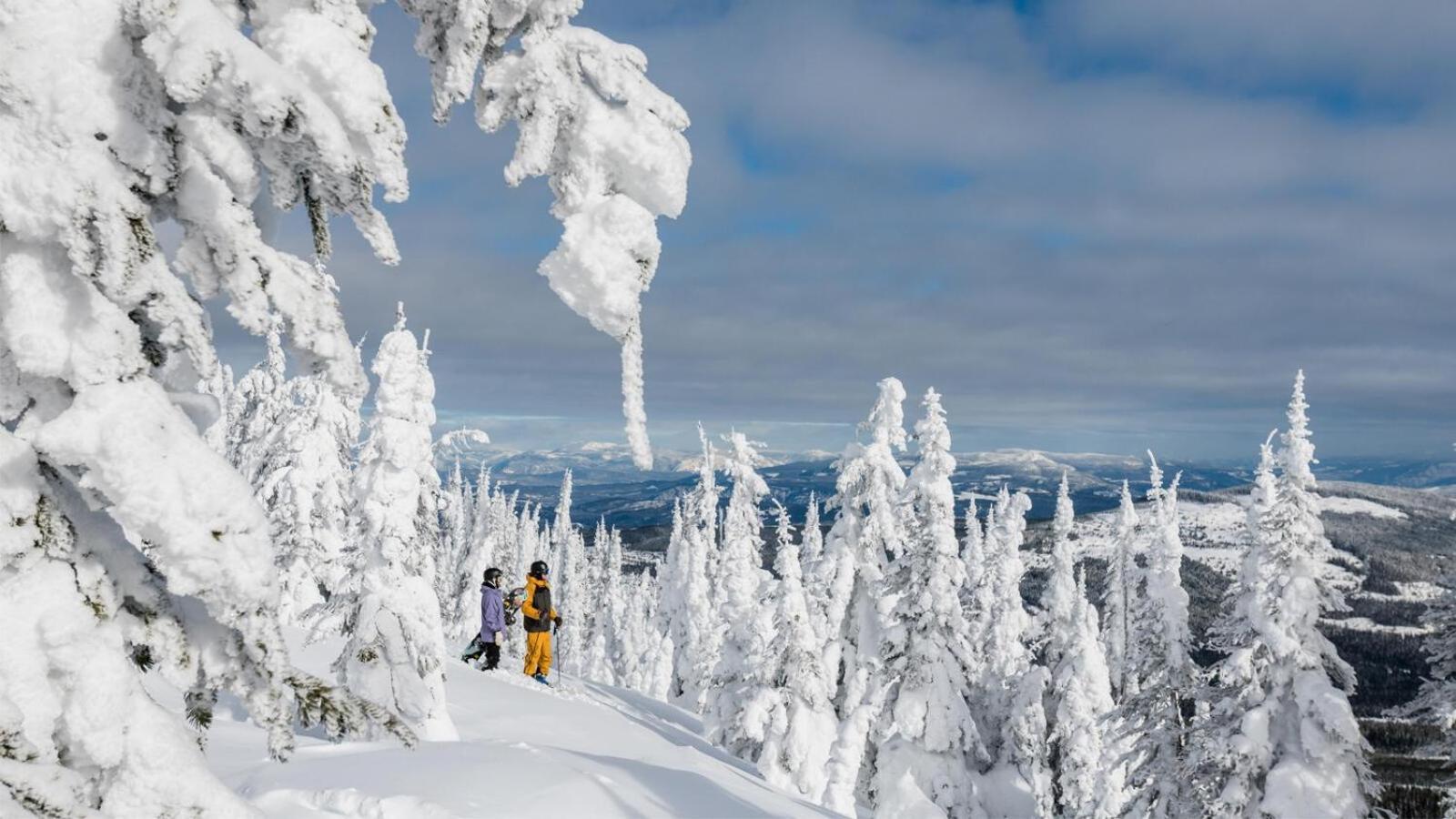 Soleil Chalet By Bear Country Sun Peaks Rom bilde